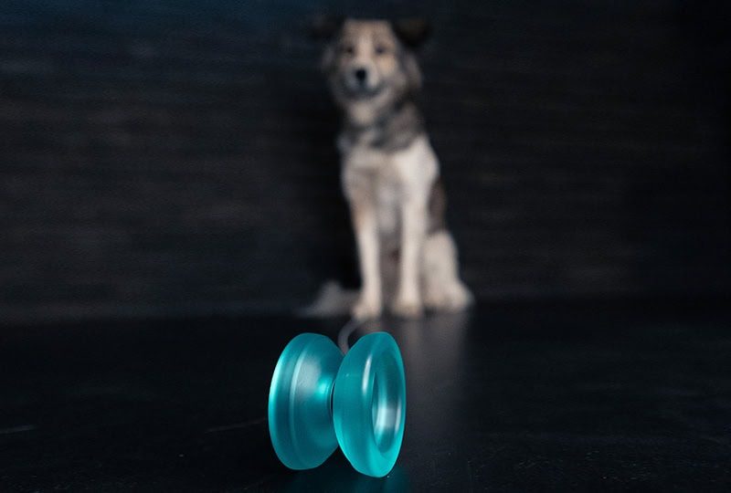 yoyo-trick-walk-the-dog Walk the Dog Yoyo Trick Tutorial